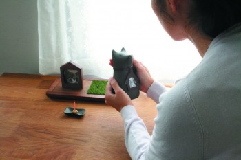 コッコリーノカタログP4