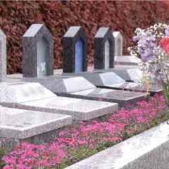 ペットと入れる樹木葬